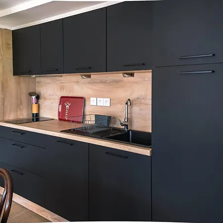 アパート Les 2 Alpes - 6 Pers, 2 Chambres, Parking Privatif - Fr-1-811-48